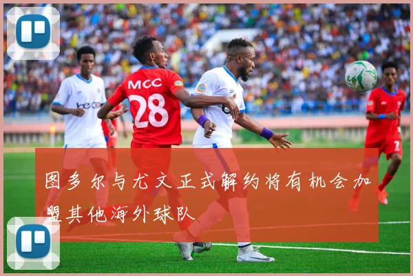 图多尔与尤文正式解约将有机会加盟其他海外球队