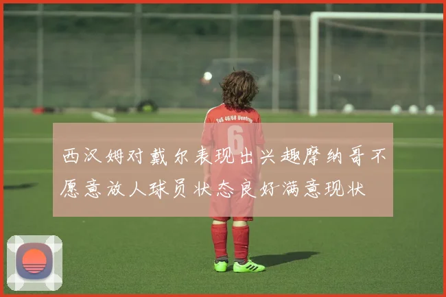 西汉姆对戴尔表现出兴趣摩纳哥不愿意放人球员状态良好满意现状